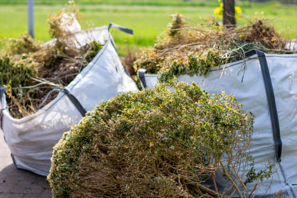 Best Affordable Junk Removal Services  in Pine Mountain Clu, CA